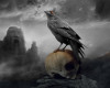 The Morrigan Raven Art