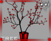 Plant Red 2a Ⓚ