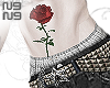 rose !