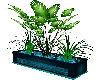 Teal Plant box
