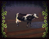🐄 Cattle