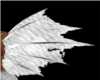 wings mermaid