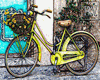 $ Bike Vintage
