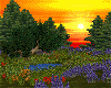 spring lake sunset