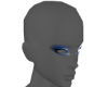 Royal Blue Shadow