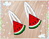 Watermelon Clips