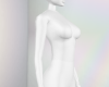 Cutout Boxed Background