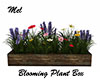 Blooming Plant Box