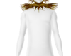 Lustrous Plume