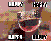 Happy Gecko!