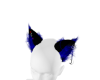 Vy: Blu&Blk Cat Ears