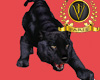 TT Pet Black Panther