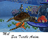 Sea Turtle Anim.
