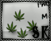 {S.K} Marijuana HS