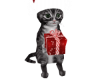 🎅Xmas Cat 3