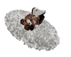 Gay Rug Kiss