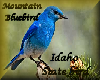 IDAHO STATE BIRD