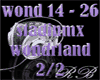 stadiumx: wondrland p2