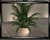 **Evenstar Planter 2