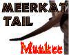 Meerkat Tail