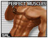 SAL | PERFECT MUSCLES D