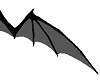 Small Bat Wings