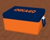 CHICAGO cooler