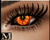 Mistic Eyes Halo Orange