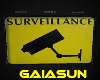 GS_Surveillance