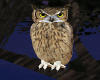 Derivable Owl