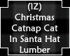 Catnap Cat In Santa Hat