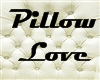 PillowLove~RedskinsLuv~