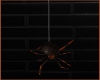 Orange Spider