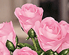 é Bouquet Roses F