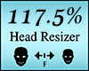 Head Scaler 117.5%