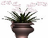 Fancy Floor Plant