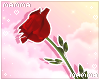 𝓶. for my pretty boy