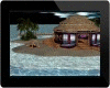  Beach Club*Night