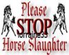 STOP THE HORSE KILLING