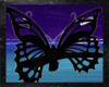 Black Butterfly Bench