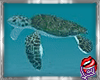 [LD]Sea Turtle♣Anim