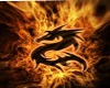 golden fire dragon rug
