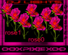 pink rose dj light