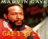 Marvin-Gaye-Sexual