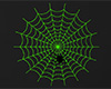 Green Spider Web 2
