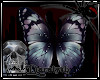 (D)Deathly Butterfly