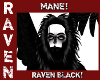 MANE RAVEN BLACK!