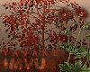Autumn tree Red