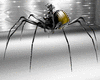 yellow spider avi F