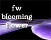 purple blooming flower